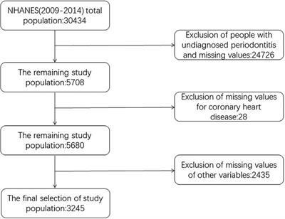Application of machine learning algorithms to construct and validate a prediction model for coronary heart disease risk in patients with periodontitis: a population-based study